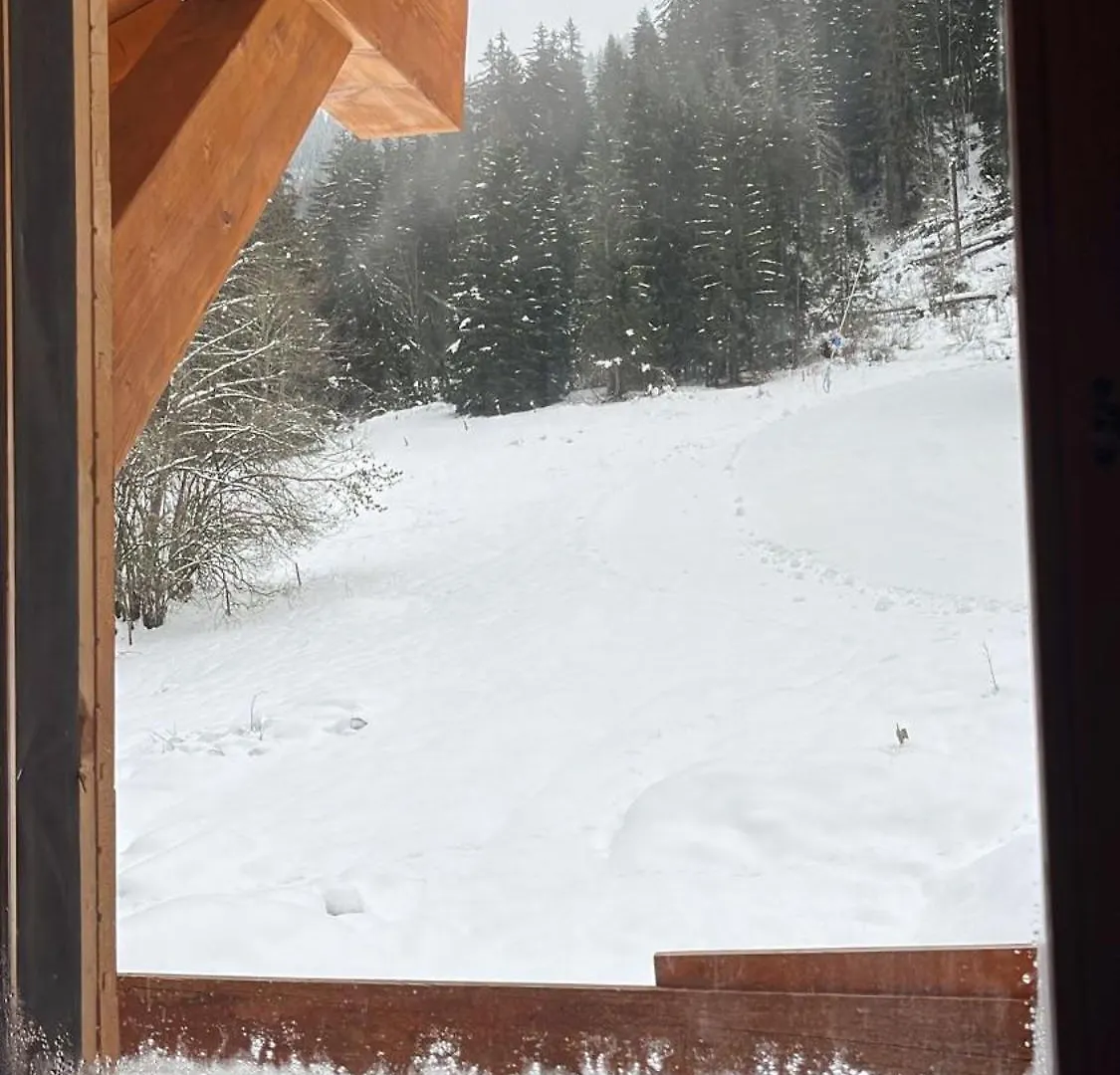 Apartment La Rose Des Neiges A Chatel
