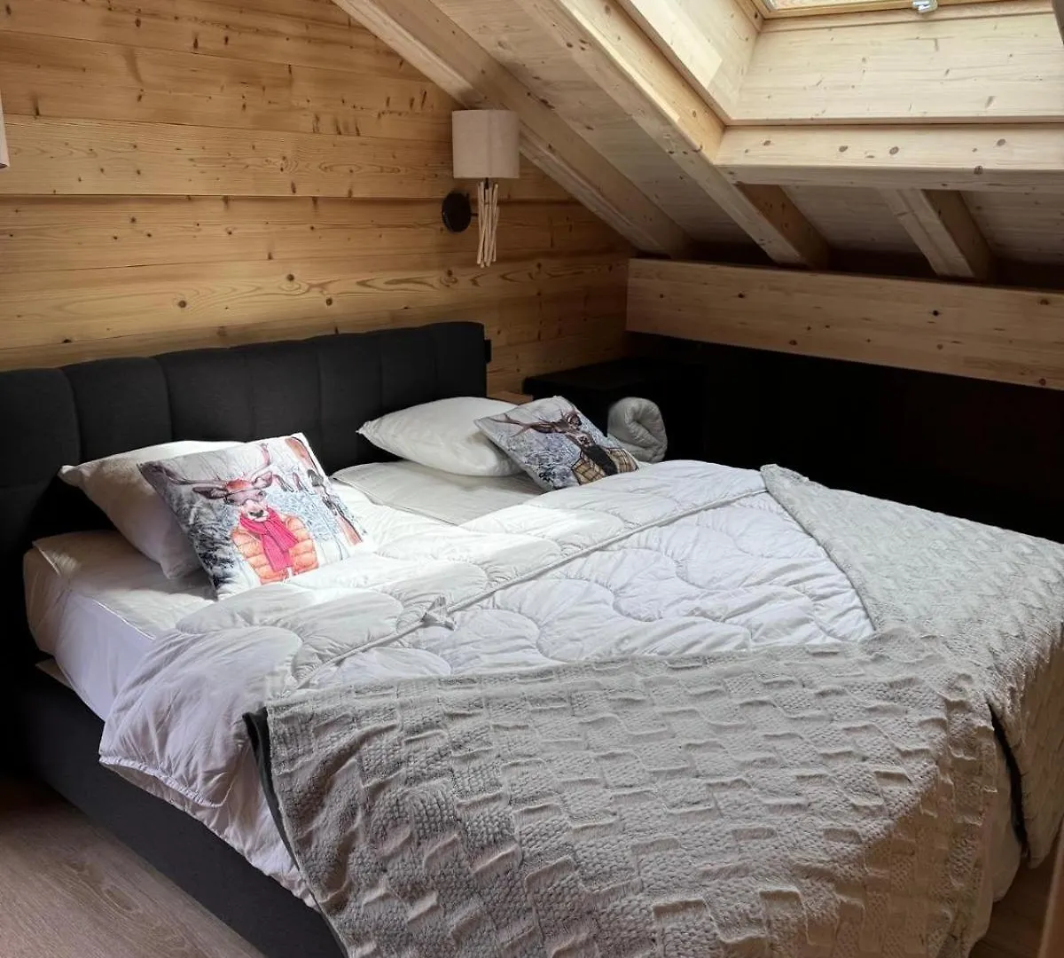 La Rose Des Neiges A Chatel Apartment
