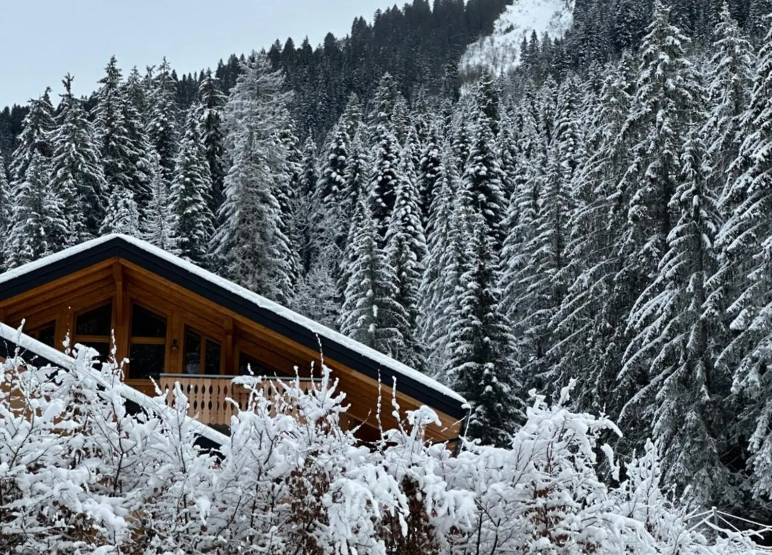 La Rose Des Neiges A Chatel 0*,  France